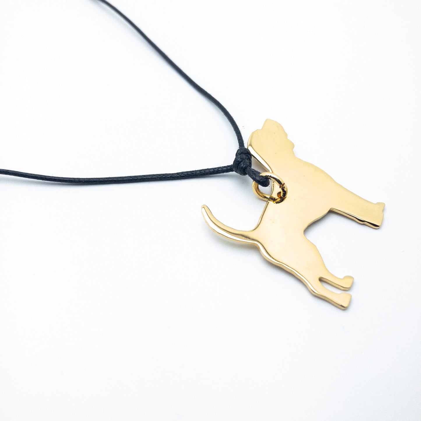 Beagle ciondolo