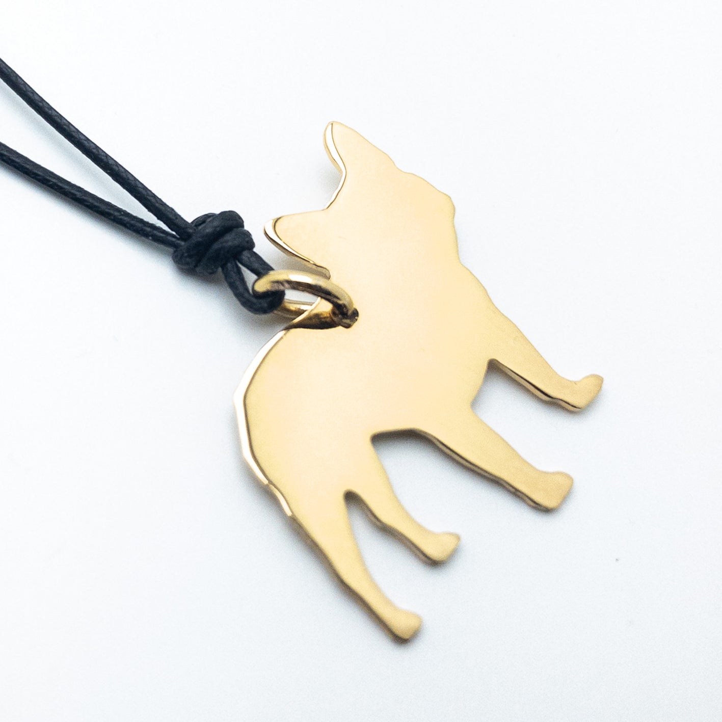 Bulldog Francese