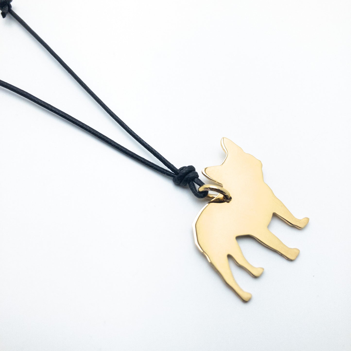 Bulldog Francese