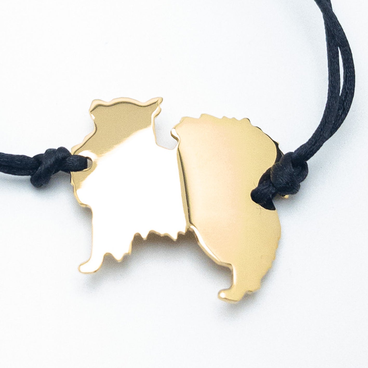 Chihuahua a pelo lungo bracciale