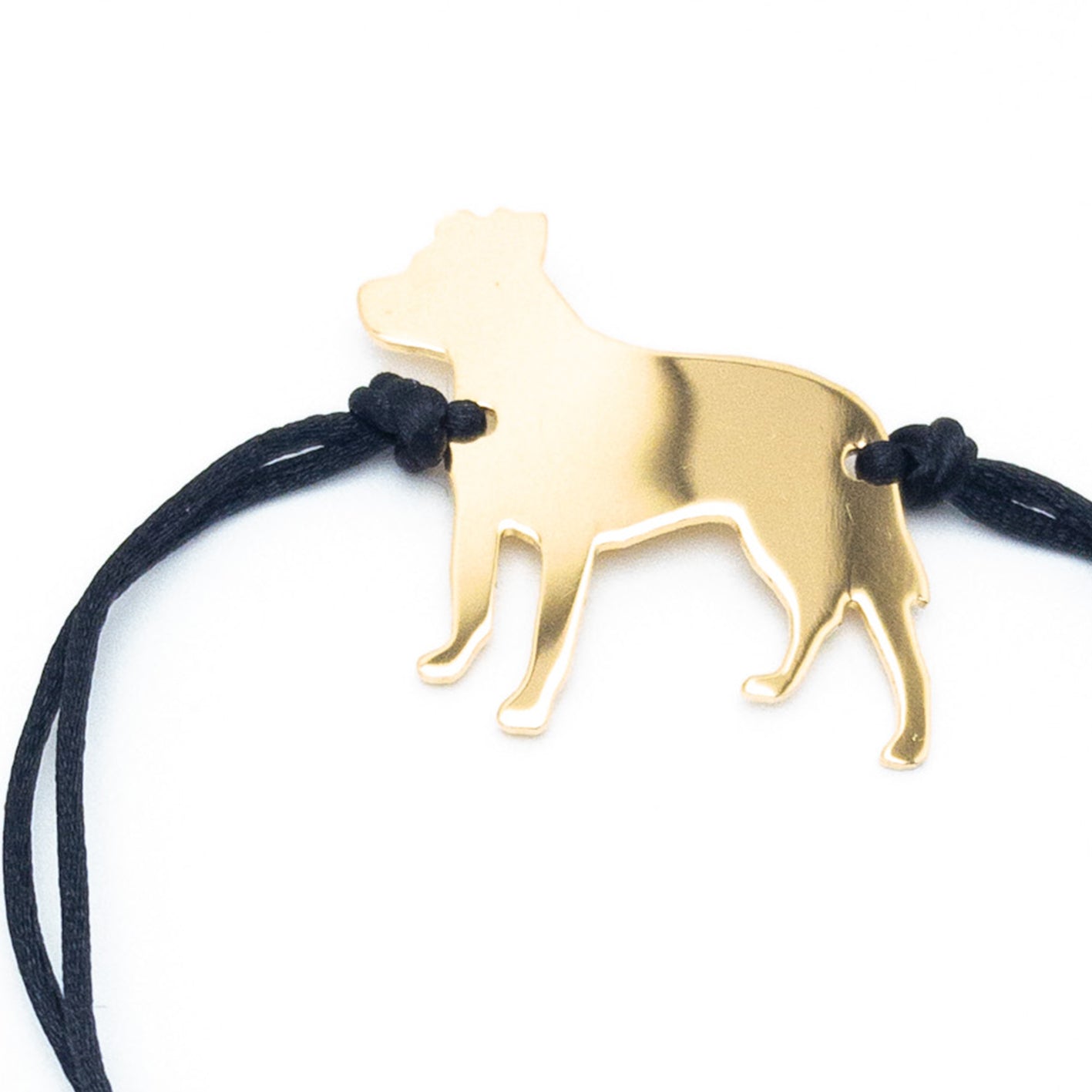 Pitbull bracciale
