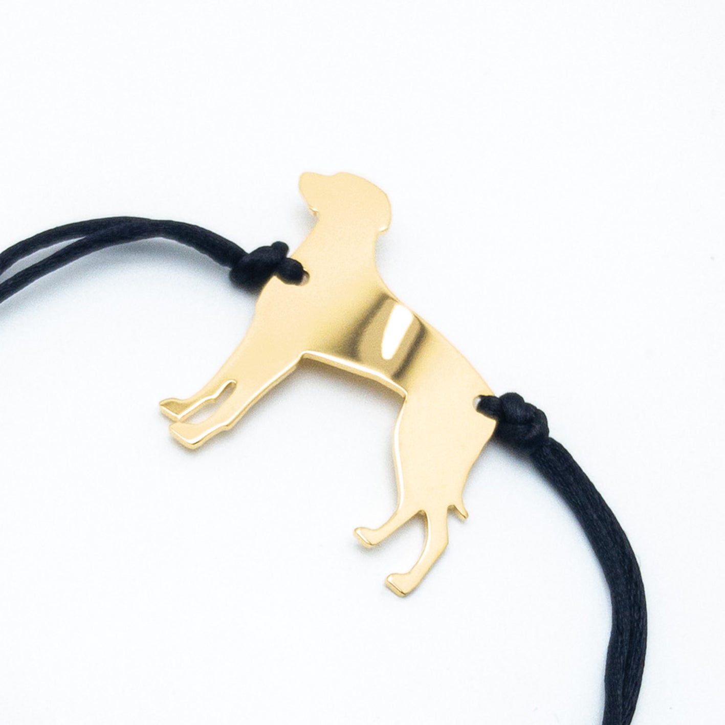 Weimaraner bracciale